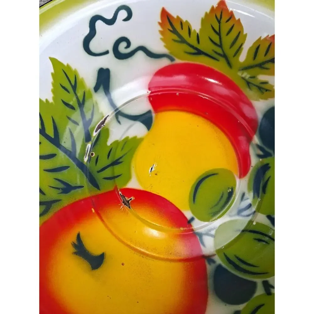 Vintage Enamel Metal Fruit Pattern Round Bowl 15 3/4 in Multicolor Painted